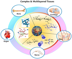 Graphical abstract: Recent advances in 3D bioprinting of polysaccharide-based bioinks for fabrication of bioengineered tissues