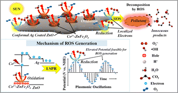 Graphical abstract: Solar-driven plasmon-enhanced photocatalysis: Co2+-doped ZnFe2O4 nanospheres-embedded ZnO nanosheets for effective degradation of dyes and antibiotics