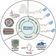 Graphical abstract: Constructing protein-functionalized DNA origami nanodevices for biological applications