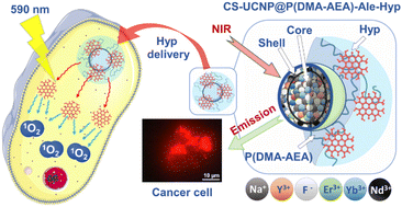 Graphical abstract: Surface-engineered core–shell upconversion nanoparticles for effective hypericin delivery and multimodal imaging