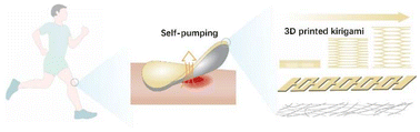 Graphical abstract: 3D-printed kirigami-inspired asymmetric dressings: custom elasticity and self-pumping for enhanced wound healing