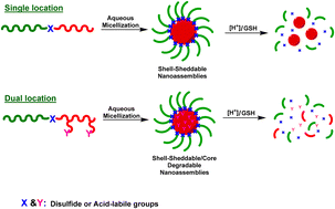 Graphical abstract: Recent advances in the synthesis and shell-sheddable disassembly of acid/glutathione-degradable block copolymer nanoassemblies for drug delivery