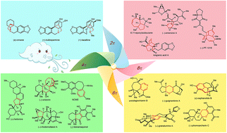 Graphical abstract: Recent advances on electrocyclic reactions in complex natural product synthesis: an update