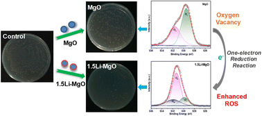 Graphical abstract: Equal volume impregnation–air calcination synthesis of lithium-doped MgO nanoplates for enhanced antibacterial performance