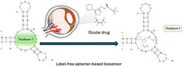 Graphical abstract: Selection of DNA aptamers for sensing drugs treating eye disease: atropine and timolol maleate