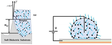 Graphical abstract: Electrowetting hysteresis on a deformable dielectric film