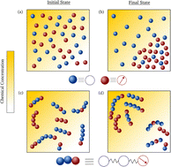 Graphical abstract: Transport of partially active polymers in chemical gradients
