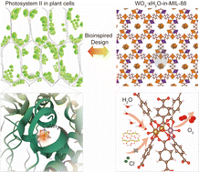 Graphical abstract: Tungstic acid integrated metal–organic frameworks for efficient oxygen evolution reaction