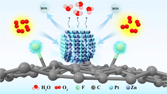 Graphical abstract: A potential well effect for efficient oxygen reduction and corrosion resistance under the operating temperature conditions of PEMFCs