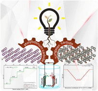 Graphical abstract: Exploring structural and electronic properties of transition metal carbides (T = Ti, V, Mo, & W) as efficient catalysts for overall water splitting with the DFT study