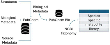 Graphical abstract: Creating taxonomically-informed metabolome libraries for any species using the pubchem.bio R package