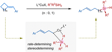Graphical abstract: Si-stereogenic remote alkenyl monohydrosilanes enabled by CuH-catalyzed enantioselective hydrosilylation of strained methylenecyclopropanes