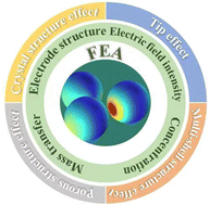 Graphical abstract: Advanced development of finite element analysis for electrochemical catalytic reactions