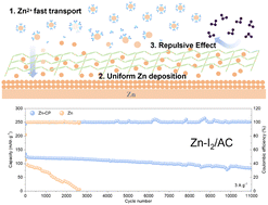 Graphical abstract: Enabling rapid Zn2+ ion diffusion and anionic repulsion toward high-performance aqueous zinc-ion batteries