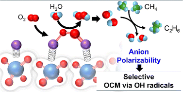 Graphical abstract: Systematic exploration of alkali–anion pairs for descriptor identification in OH-mediated methane coupling