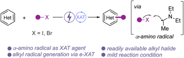 Graphical abstract: Electrochemical C–H functionalization reaction of N-heterocycles with alkyl iodides