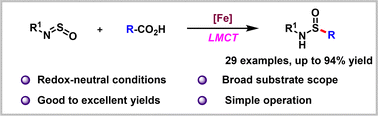 Graphical abstract: Decarboxylative sulfinamidation of N-sulfinylamines with carboxylic acids via a photochemical iron-mediated ligand-to-metal charge transfer process