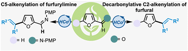 Graphical abstract: Complementary pathways in C–H functionalization of furfural derivatives with cobalt-hydride catalysis