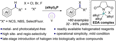 Graphical abstract: Metal- and photocatalyst-free benzylic C–H halogenation via an electron donor–acceptor complex