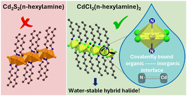 Graphical abstract: Covalent organic–inorganic layered 2D CdCl2(n-hexylamine)2 and not Cd2S2(n-hexylamine)