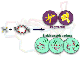 Graphical abstract: Polymorphs and stoichiometric variants of crown ether-based molecular complexes: exploring the landscape of conformational flexibility and supramolecular interactions