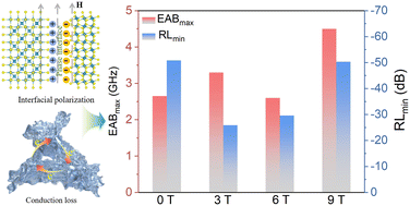Graphical abstract: Regulating the phase composition and morphology of iron sulfide via a high magnetic field for controlled electromagnetic wave absorption performance
