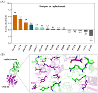 Graphical abstract: Optimization of nanobody caplacizumab via computational design