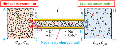 Graphical abstract: Towards the characterization of chemiosmotic flow of ionic liquids in charged nanochannels