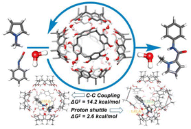 Graphical abstract: Unveiling the role of water in the coupling of pyrroles and isocyanates to amidopyrroles inside a hexameric resorcinarene capsule