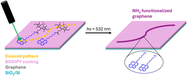 Graphical abstract: Photoinduced functionalization of graphene with photocleavable coatings