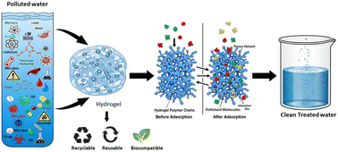 Graphical abstract: The responsive behavior of hydrogels for wastewater treatment and their advancement in removal of water pollutants