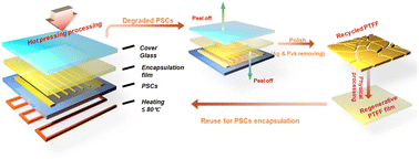 Graphical abstract: Bio-based encapsulation materials enabling recyclable and stable perovskite solar cells