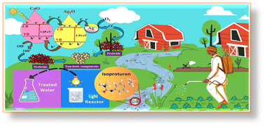 Graphical abstract: Shape-engineered Ag/Ag2O/CuO nanostructures for synergistic agrochemical remediation and microbial inhibition