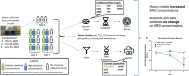 Graphical abstract: Elucidating the impact of common stormwater pollutants on antibiotic resistance: the role of heavy metals, nutrients, and salts