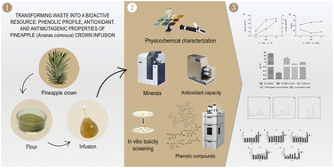 Graphical abstract: Transforming waste into a bioactive resource: phenolic profile, antioxidant, and antimutagenic properties of pineapple (Ananas comosus) crown infusion