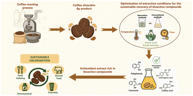 Graphical abstract: Sustainable recovery of bioactive compounds from coffee silverskin