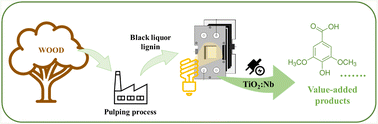 Graphical abstract: Insights into photoelectrocatalytic lignin oxidation to value-added products using a niobium-doped titanium dioxide photoanode