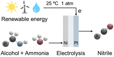 Graphical abstract: Electrosynthesis of nitriles from primary alcohols and ammonia on Ni catalysts