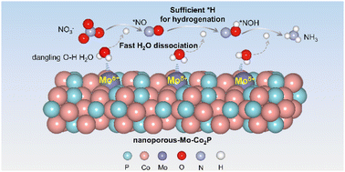 Graphical abstract: Electron-deficient Mo sites enhance electrochemical nitrate reduction to ammonia by promoting water dissociation