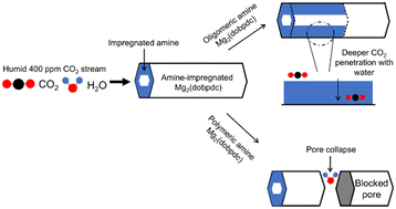 Graphical abstract: Amine-dependent CO2 sorption on amine-impregnated Mg2(dobpdc) MOF under humid conditions