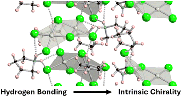 Graphical abstract: The emergence of intrinsic chirality in copper and palladium chloride materials