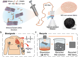 Graphical abstract: Soft, breathable, and recyclable MXene fabrics for wearable electrophysiological recordings
