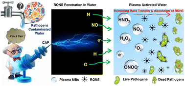Graphical abstract: Microbubble-enhanced cold plasma (MB-CAP) for pathogen disinfection in water: a sustainable alternative to traditional methods