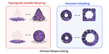 Graphical abstract: Morphable architected materials with topologically variable and volumetric reconfiguration