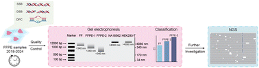 Graphical abstract: A nanoscale quality control framework for assessing FFPE DNA integrity in cancer research