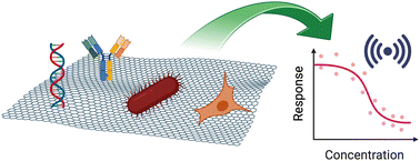Graphical abstract: Exploring the potential of phosphorene and arsenene in plasmonic and 2D nanomaterial-based biosensing: from fundamentals to applications
