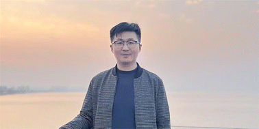 Graphical abstract: Nanoscale Horizons Emerging Investigator Series: Dr Yuefei Wang, Tianjin University, China