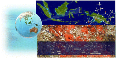 Graphical abstract: Marine natural products