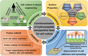 Graphical abstract: Hydroxyapatite nanoparticle films with designed nanostructures for advanced cell culture