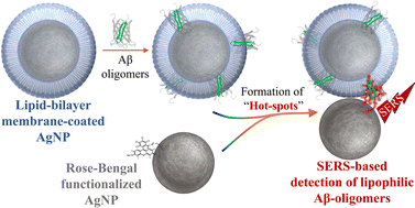 Graphical abstract: Selective detection of membrane-bound amyloid-β oligomers using SERS “hot-spots”: toward early diagnostics for Alzheimer's disease
